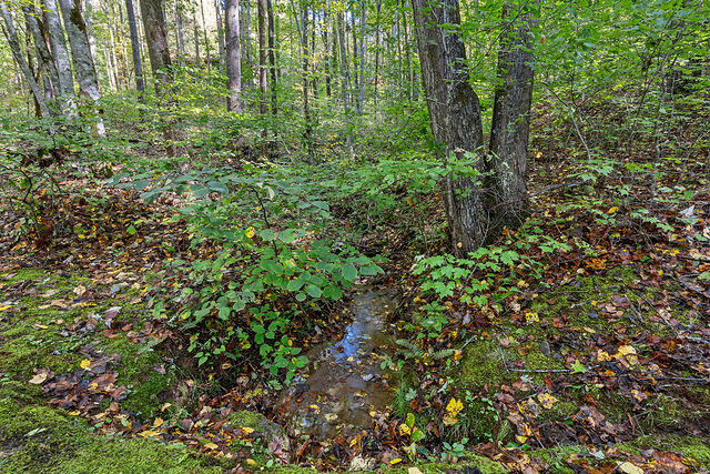 Lot 180 Deer Run LOT 180