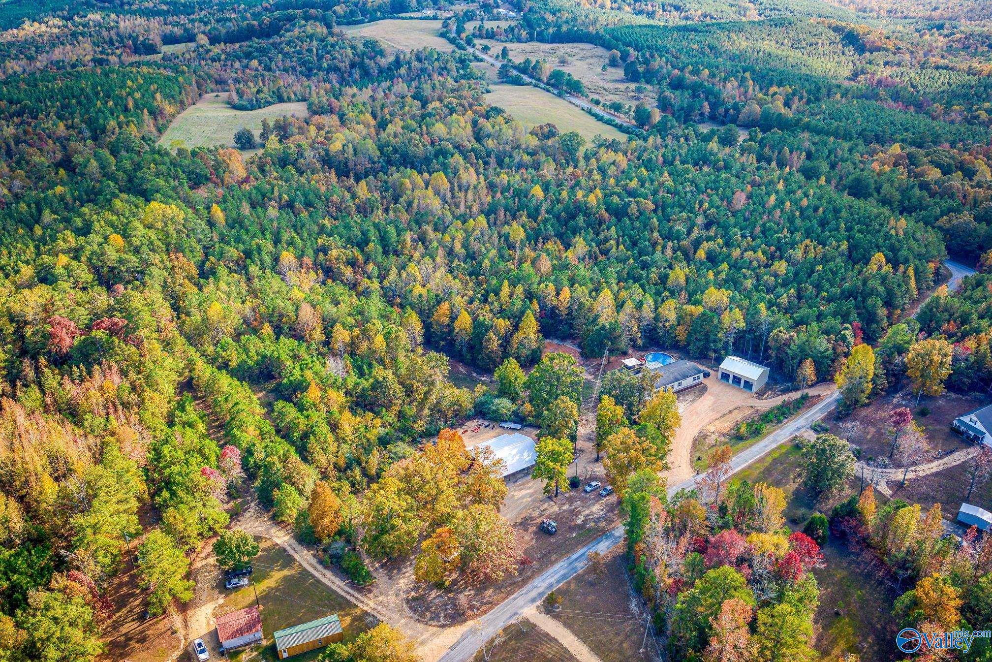 230 Fire Creek Cut Road