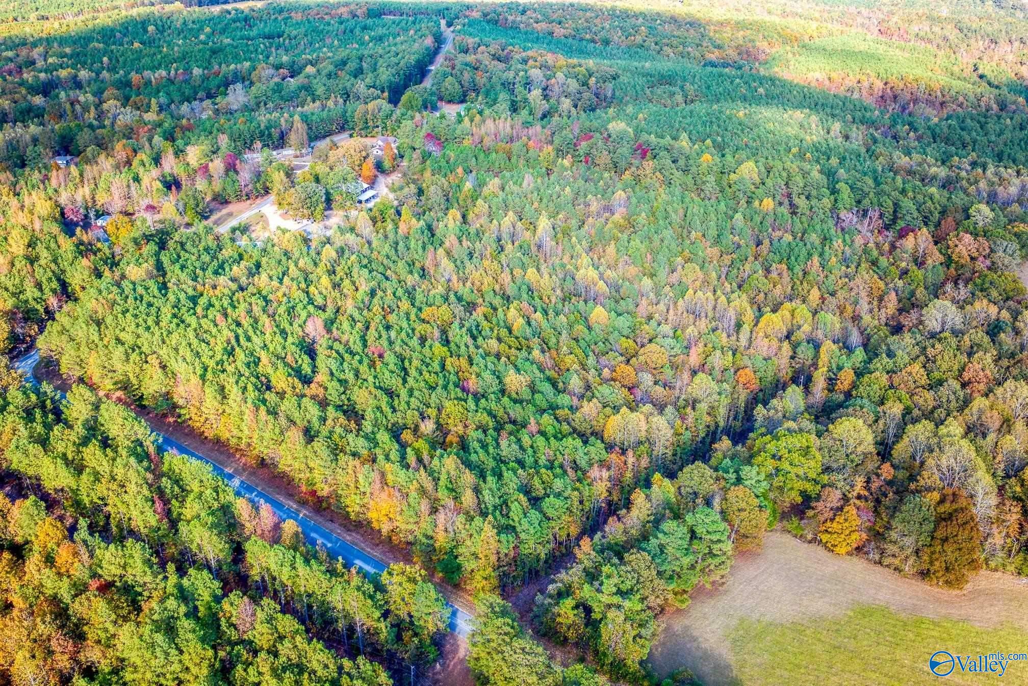 230 Fire Creek Cut Road