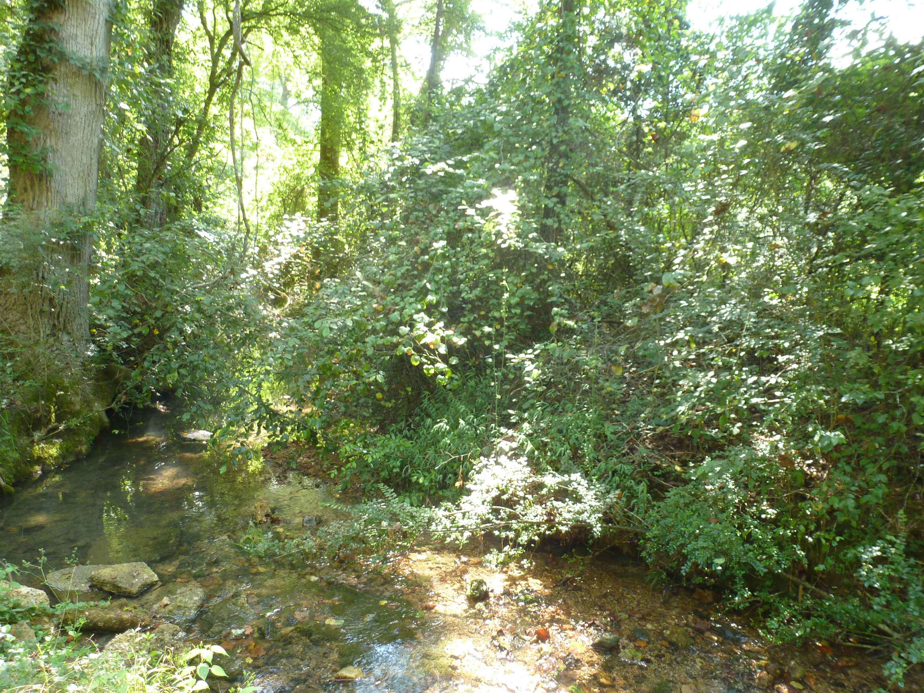 474 Rocky Ford Ln