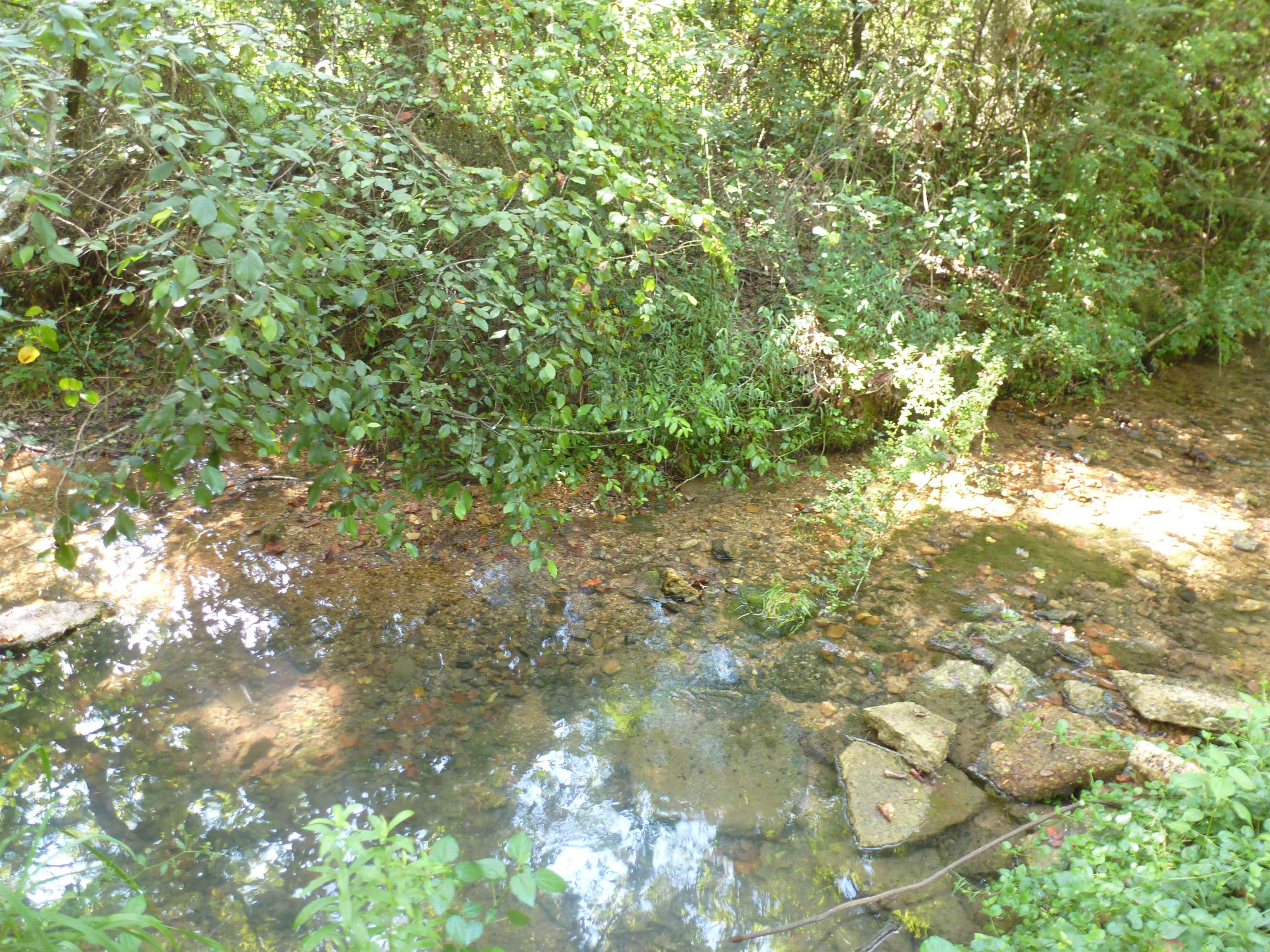 474 Rocky Ford Ln