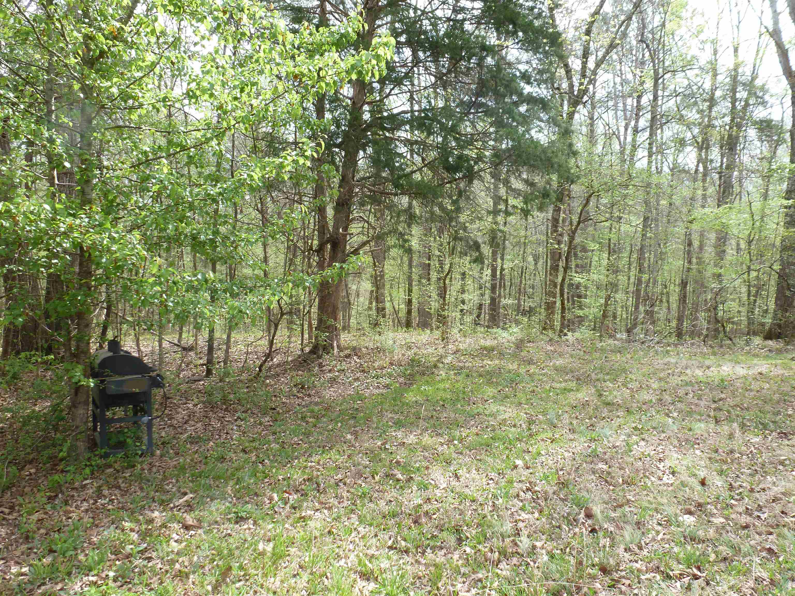 2330 Ligon Springs Rd