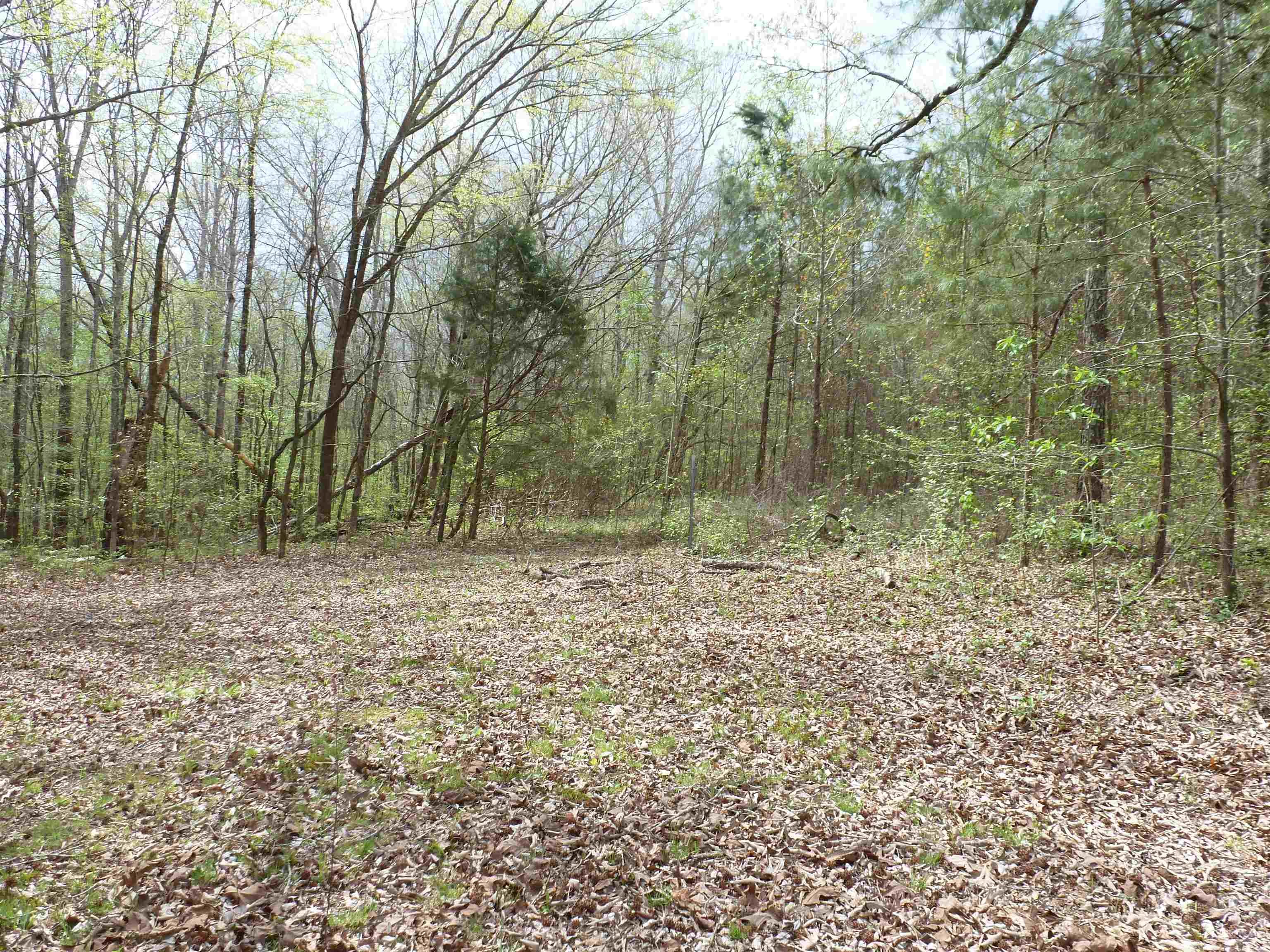 2330 Ligon Springs Rd