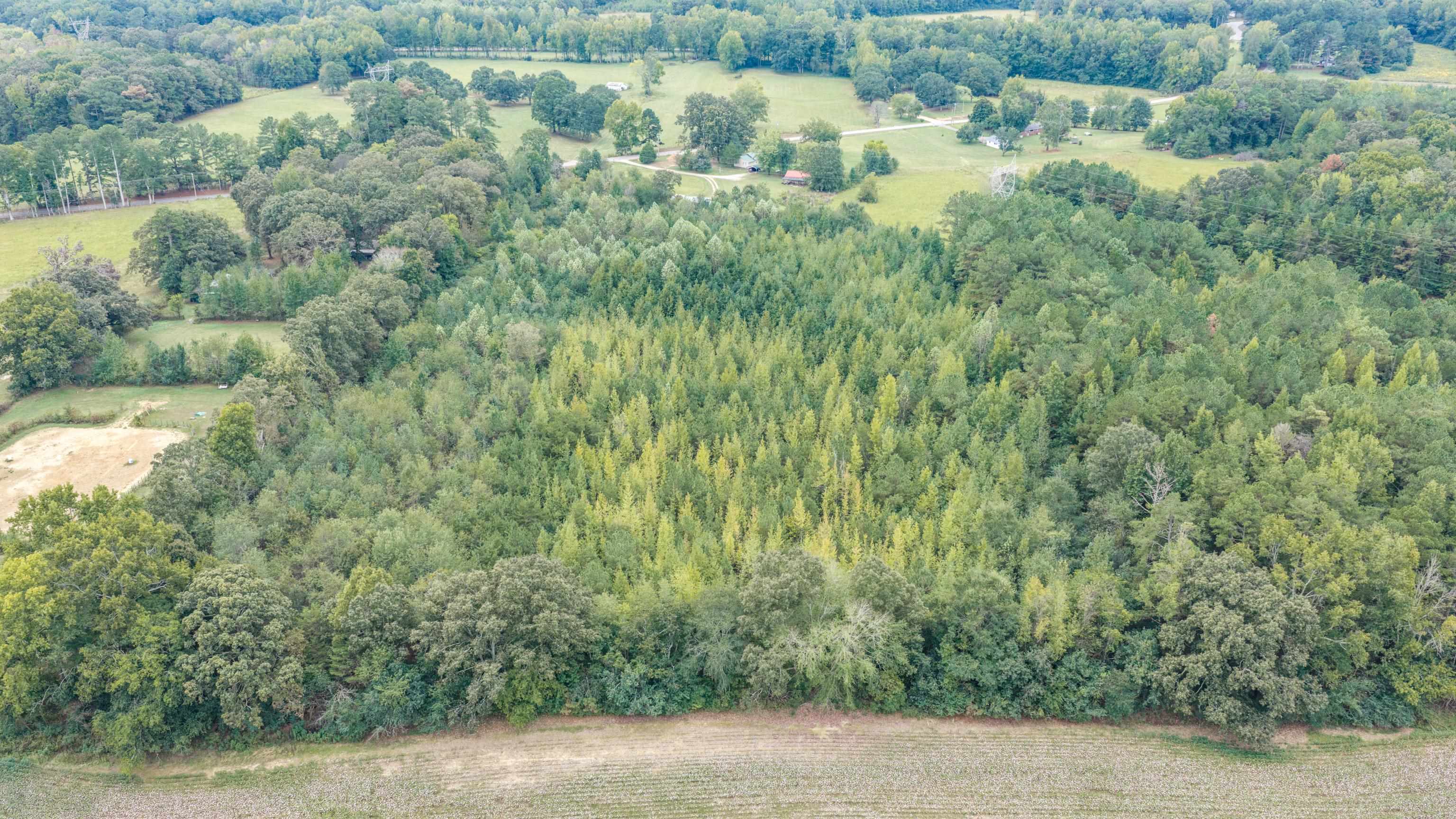 3905 Co Rd 5