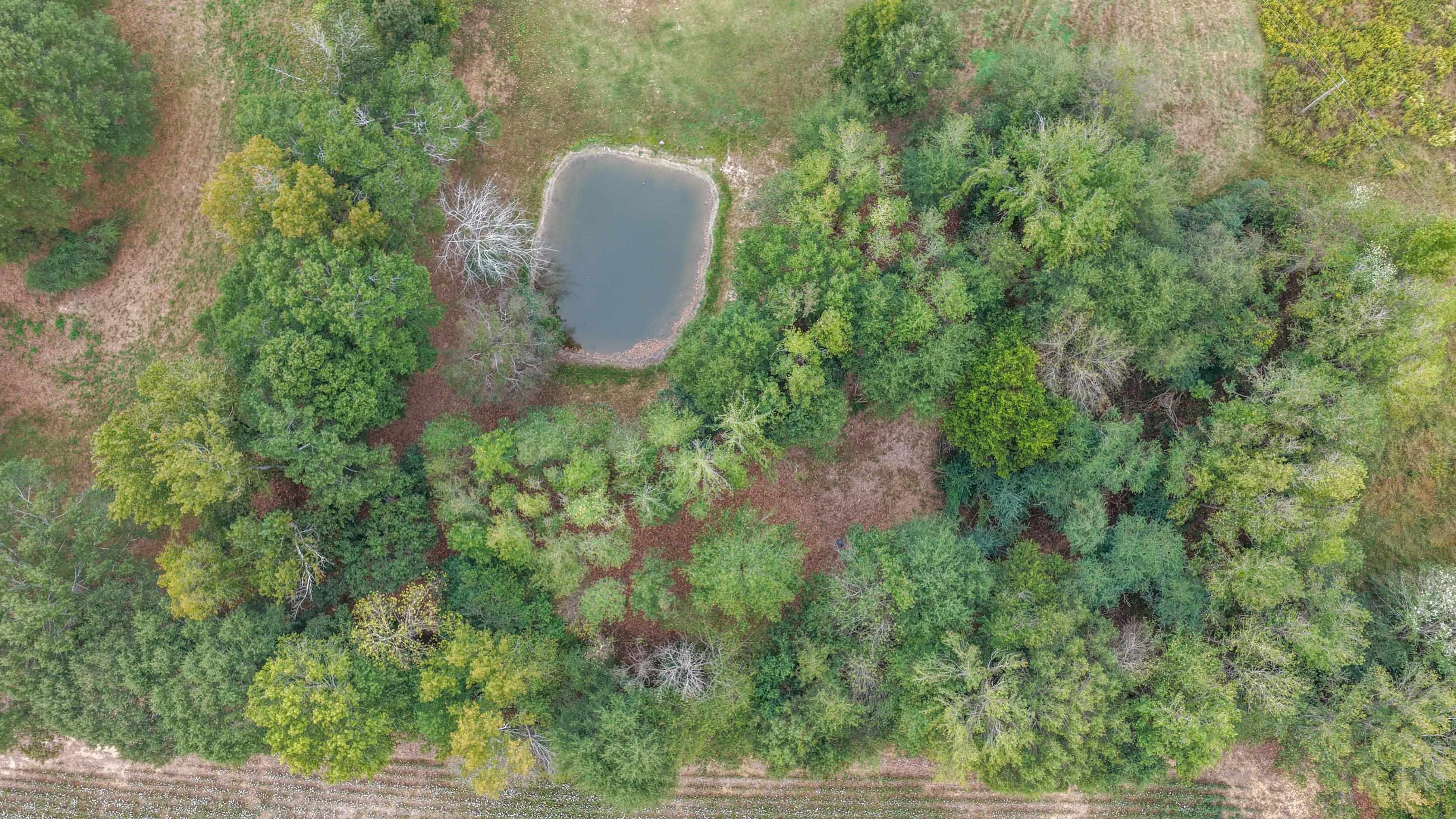 4240 Co Rd 5
