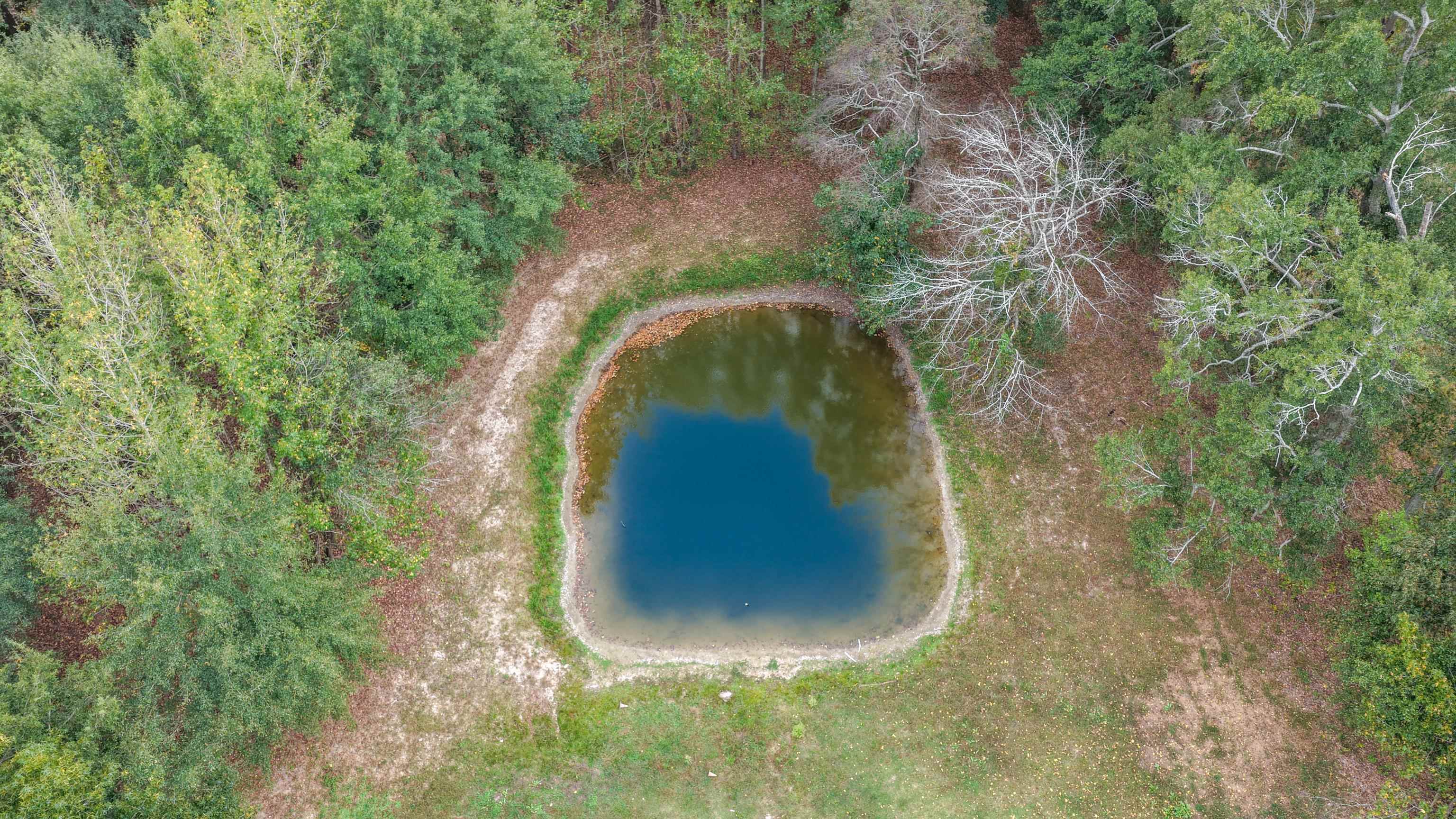4240 Co Rd 5