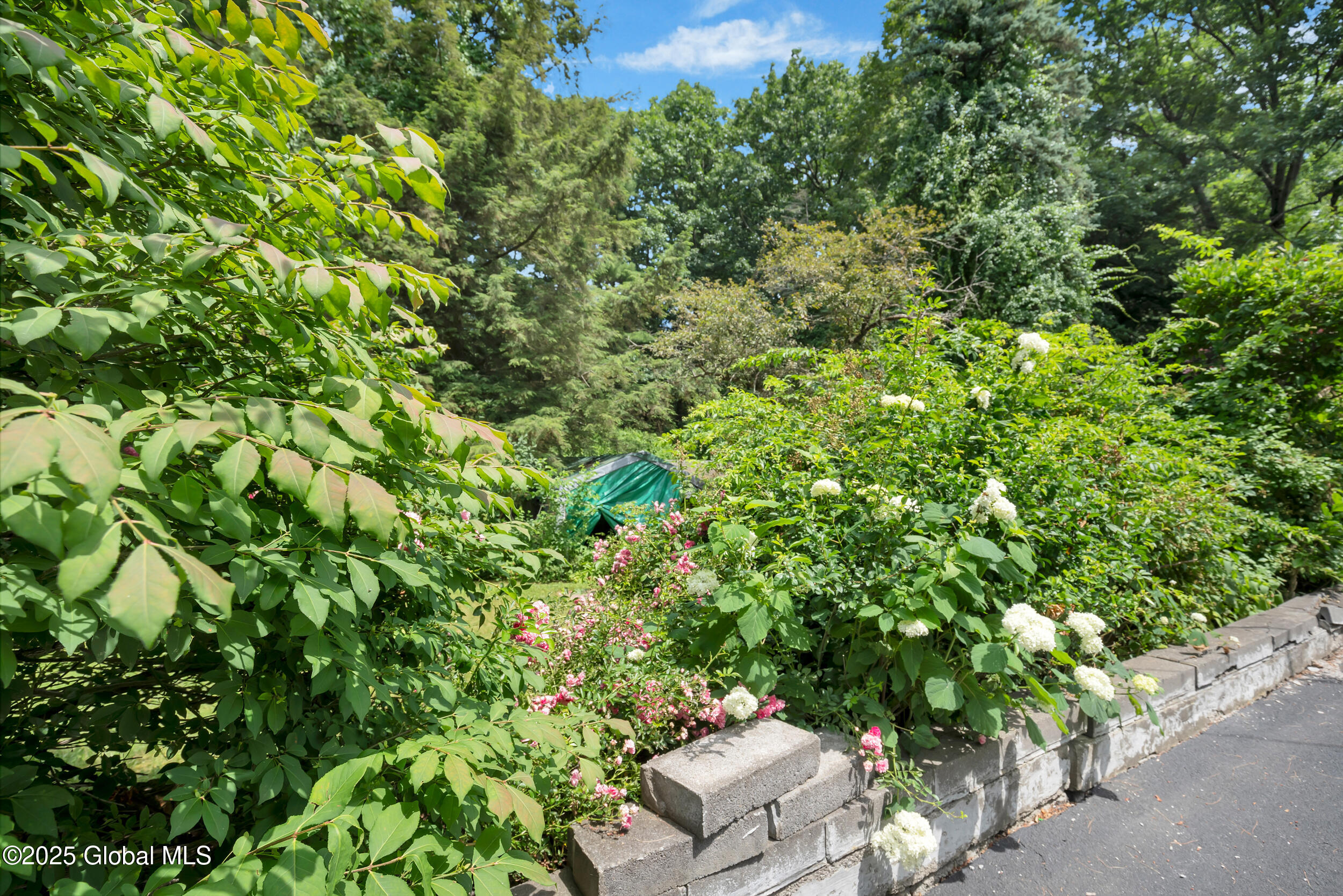 13 Collamer Drive