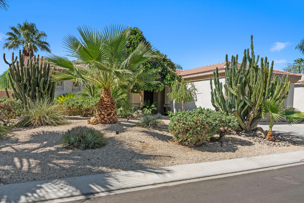 69467 Calle Raphael