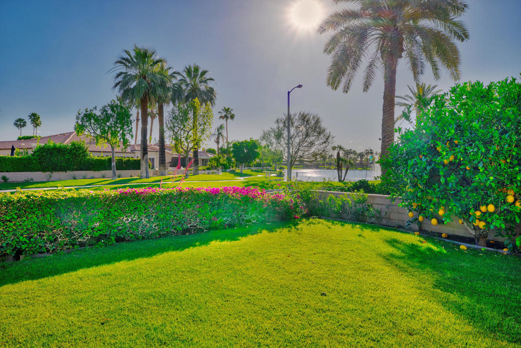 48653 Paseo Tarazo