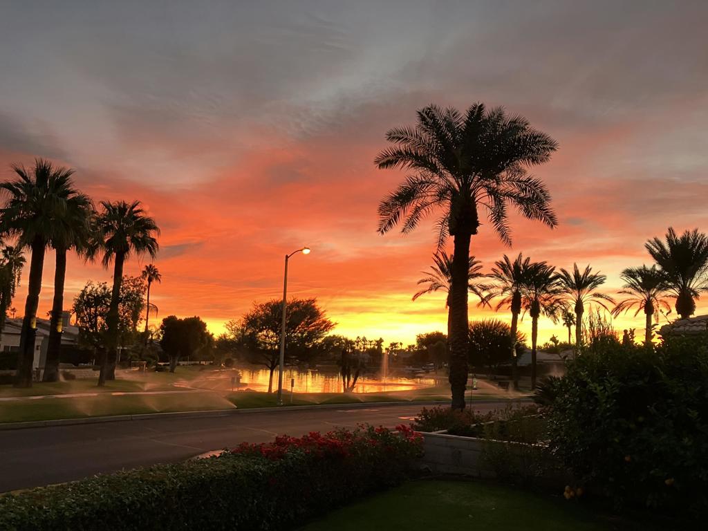 48653 Paseo Tarazo