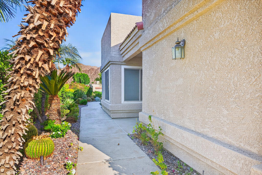 48202 Vista De Nopal
