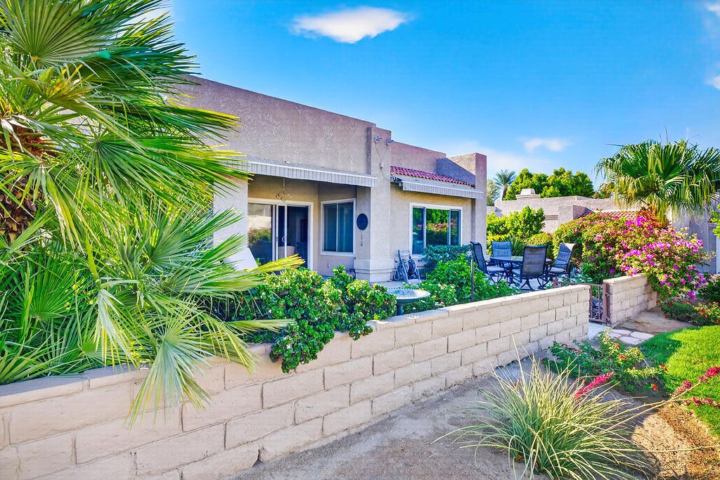 48202 Vista De Nopal