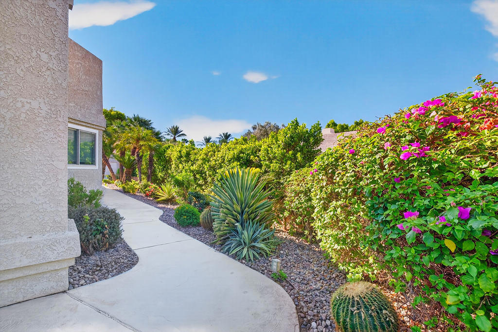 48202 Vista De Nopal