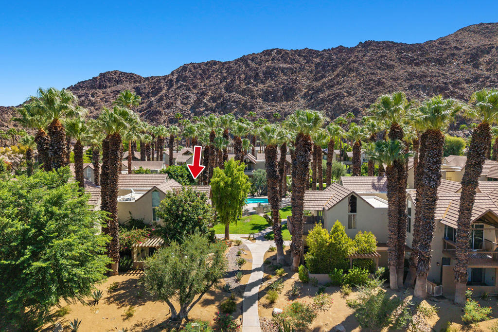 46700 Mountain Cove Drive 5