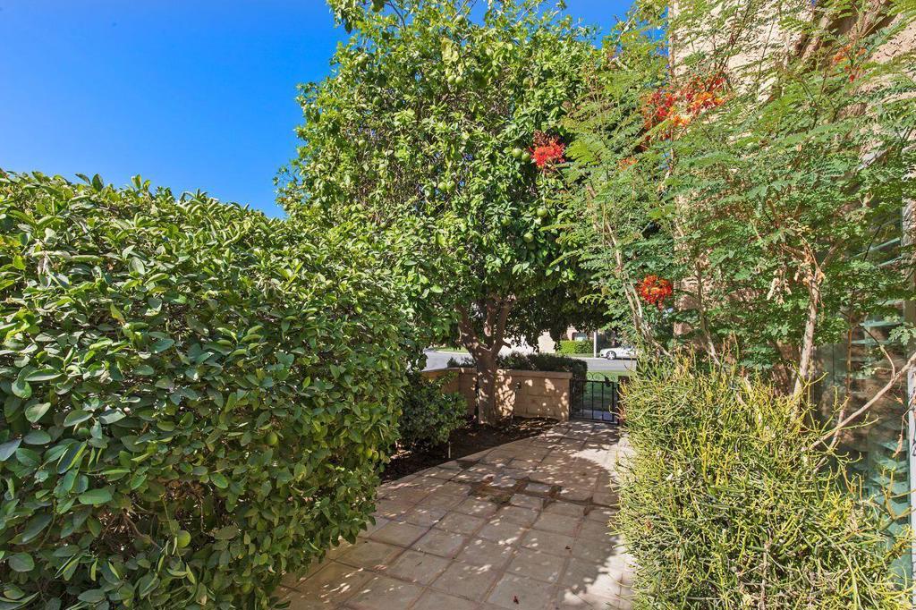 44239 Venice Court