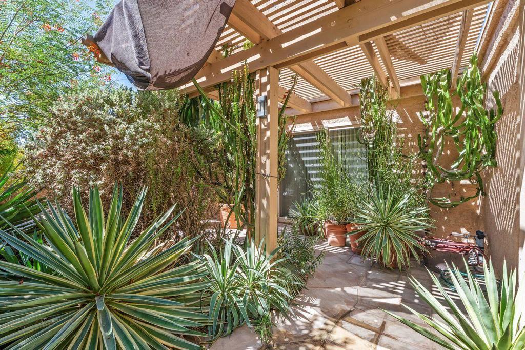44239 Venice Court