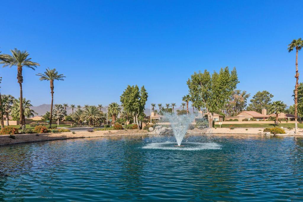44239 Venice Court