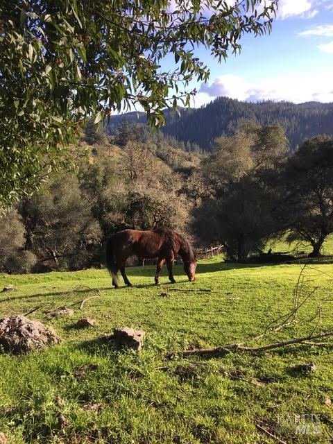 20799 Highway 128