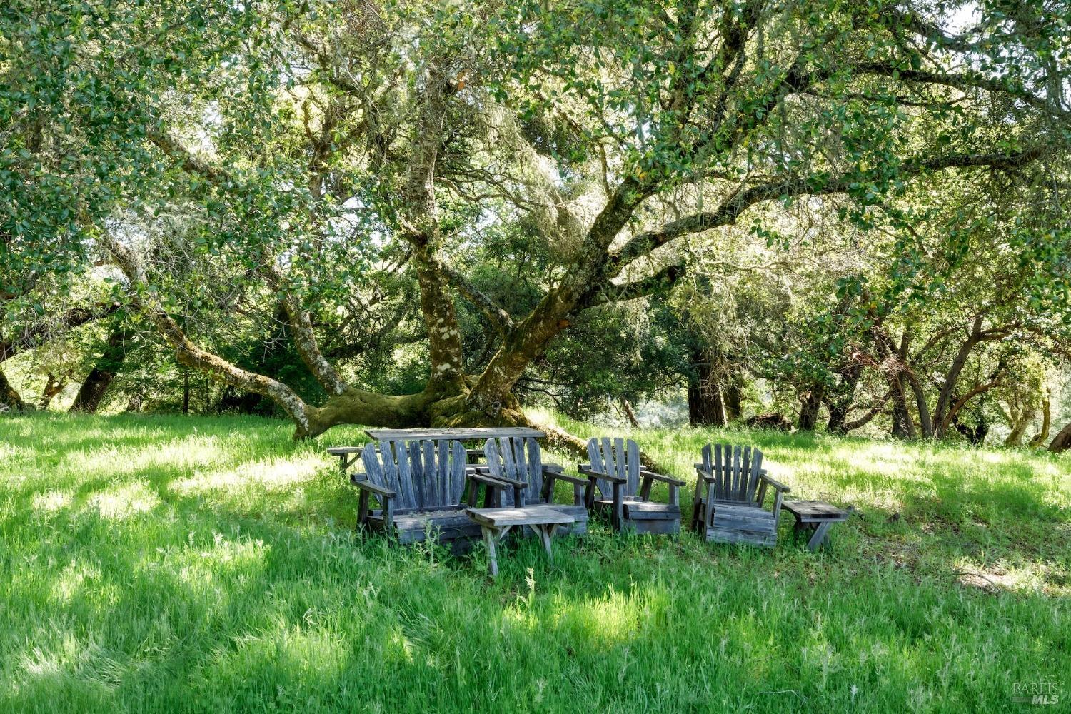 20799 Highway 128