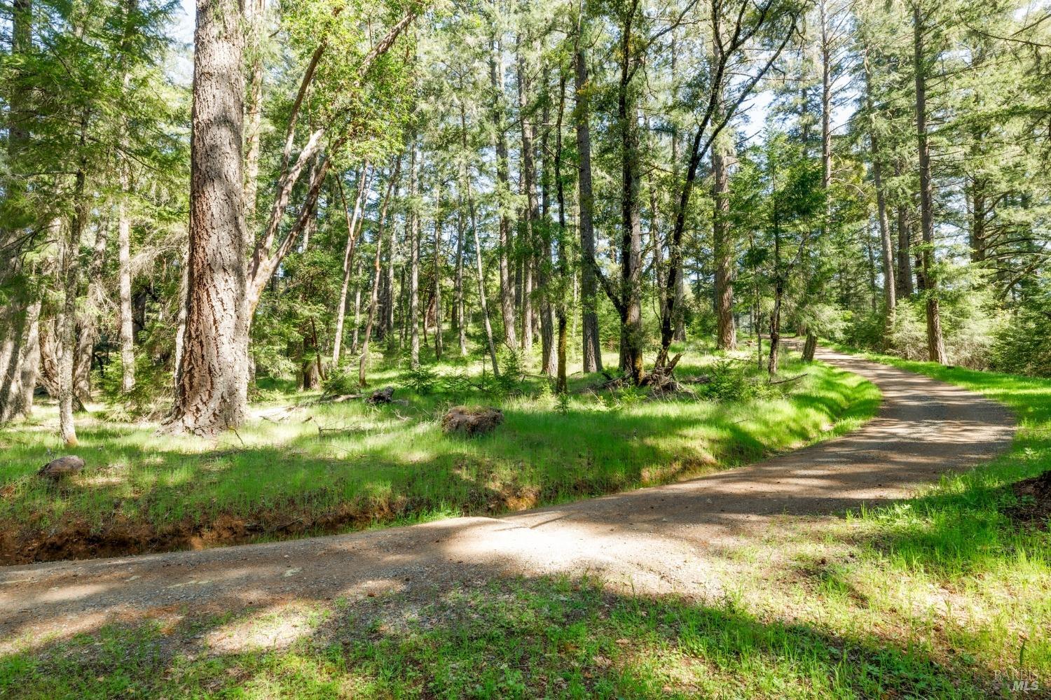 20799 Highway 128