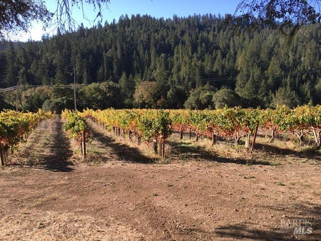20799 Highway 128