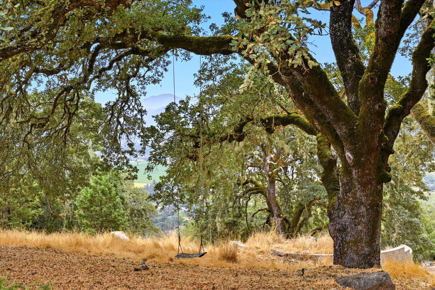 31000 Pine Mountain Rd