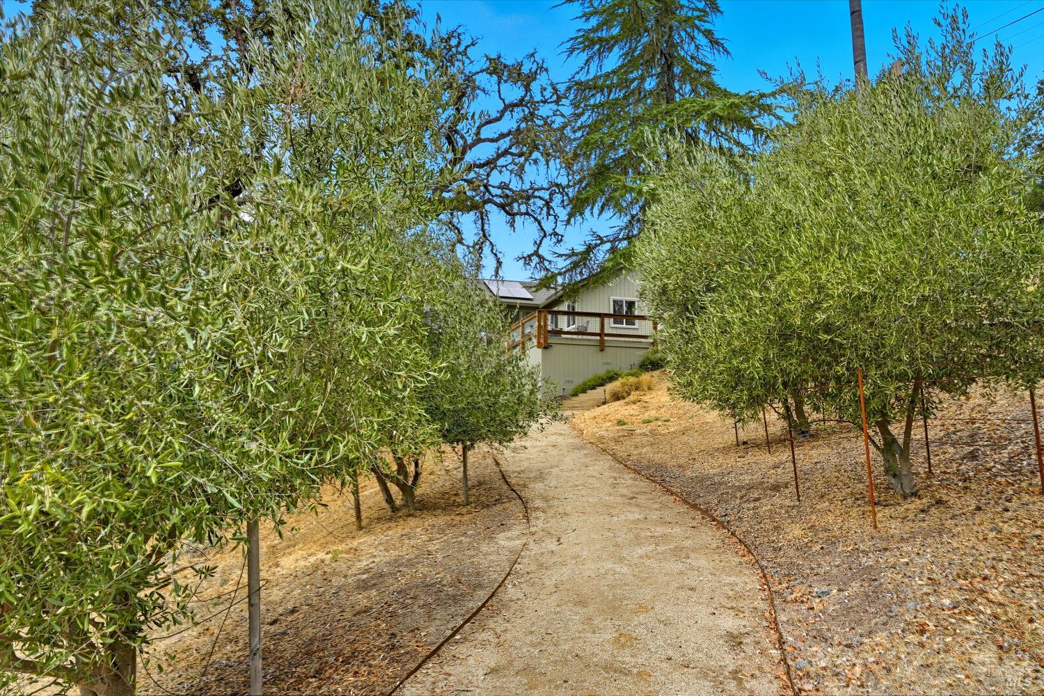 31000 Pine Mountain Road