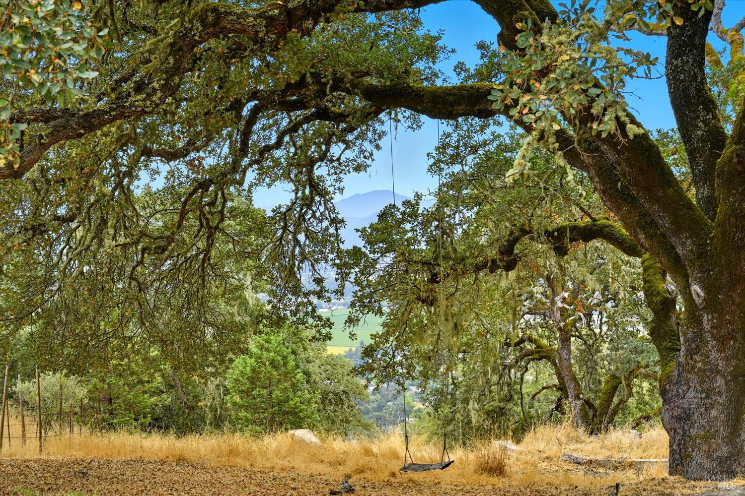 31000 Pine Mountain Road