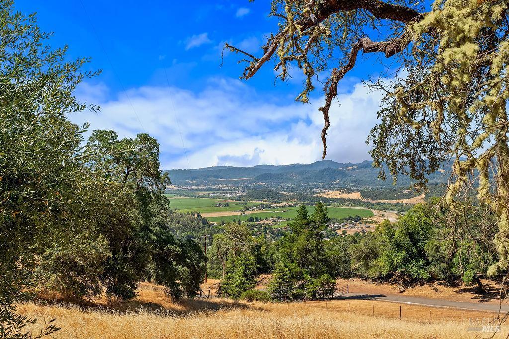 31000 Pine Mountain Road