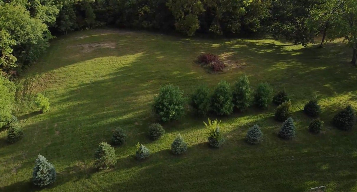 WALNUT HILLS PLAT 2 LOT 2 & OUTLOT 2A Street