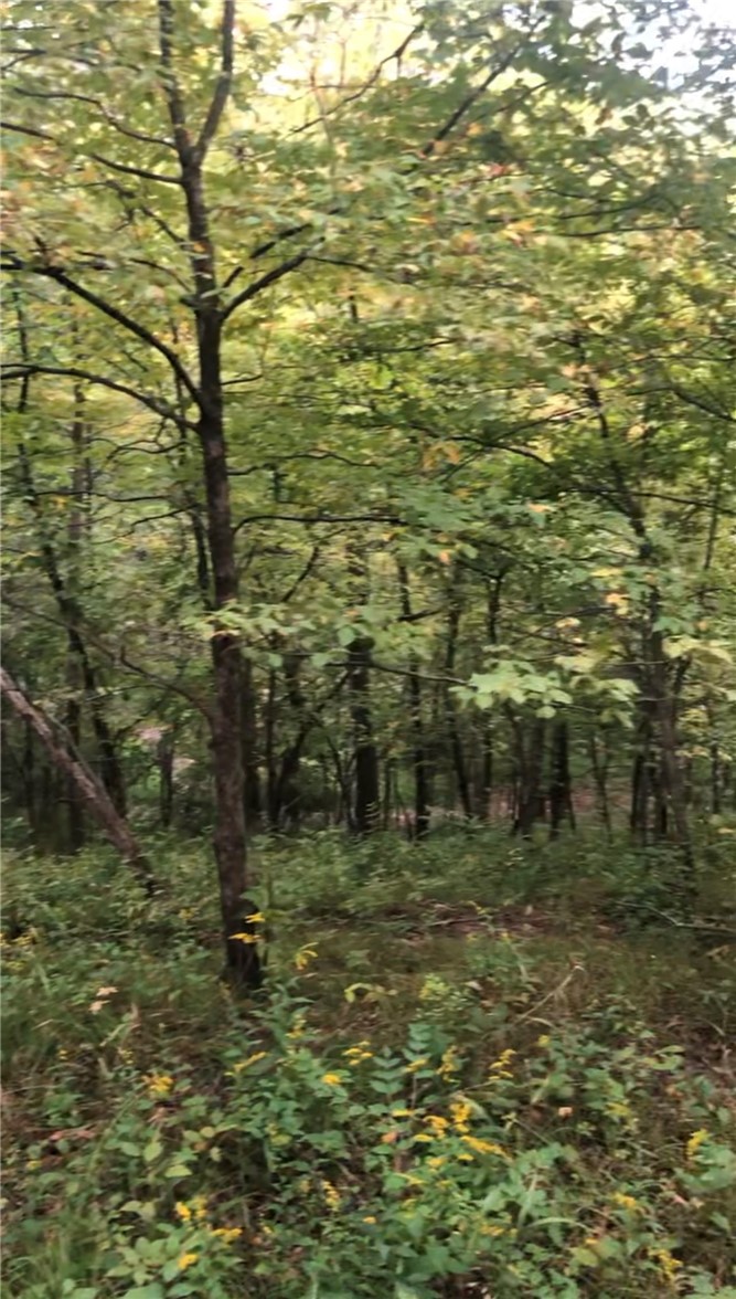 WALNUT HILLS PLAT 2 LOT 2 & OUTLOT 2A Street