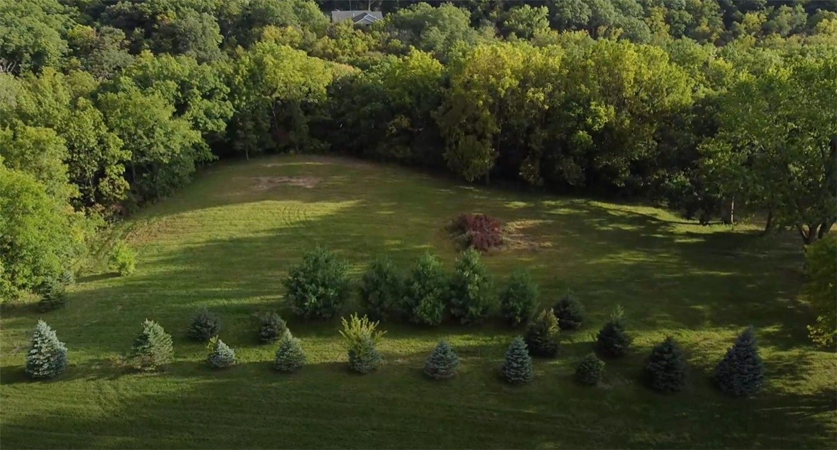 WALNUT HILLS PLAT 2 LOT 2 & OUTLOT 2A Street