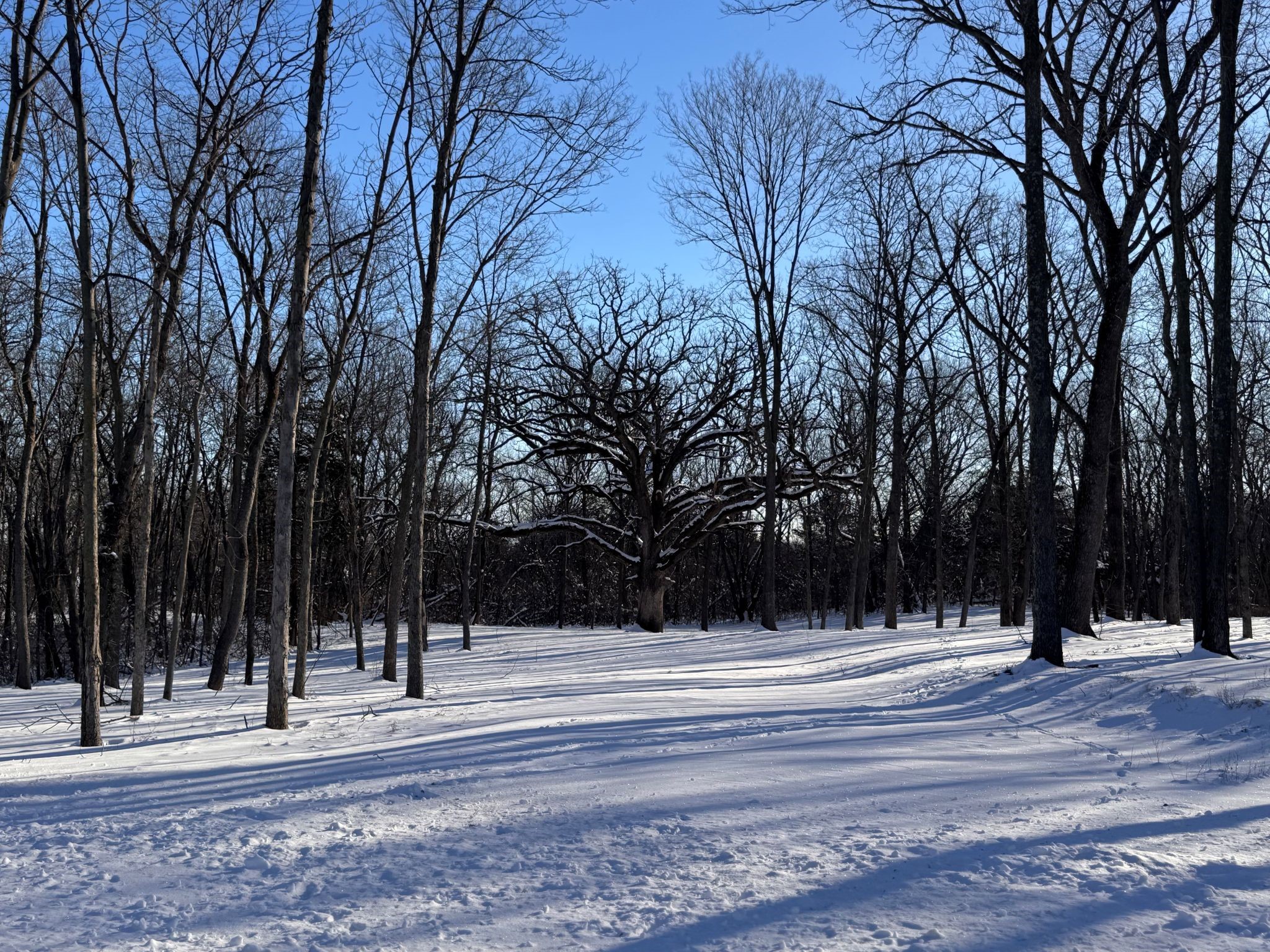 12245 NE 68th Street