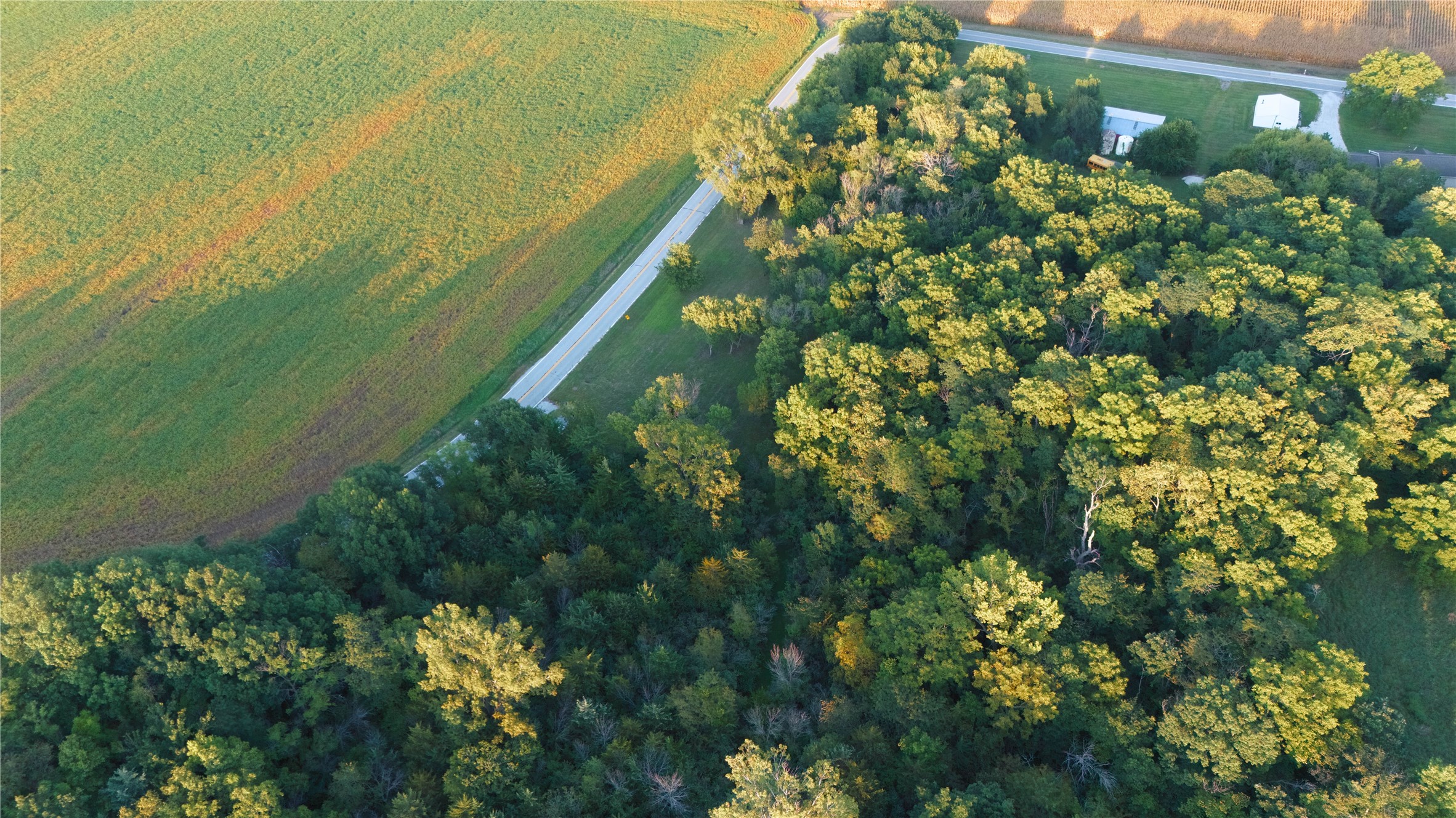 Aerial view of wooded acreage bordering crop fields, with a road and outbuildings.