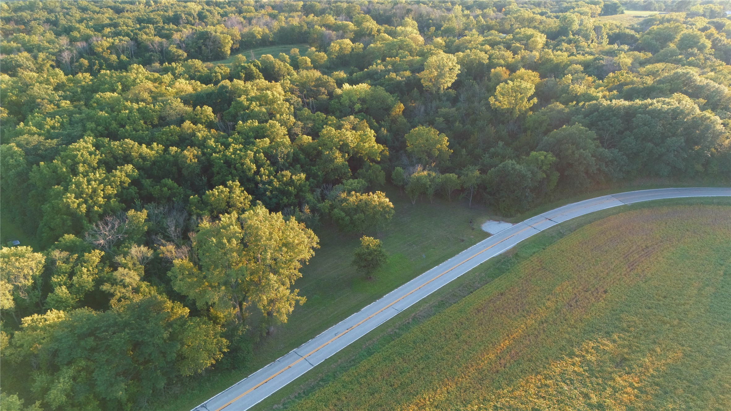 Aerial view of dense woods beside a curving road and field.