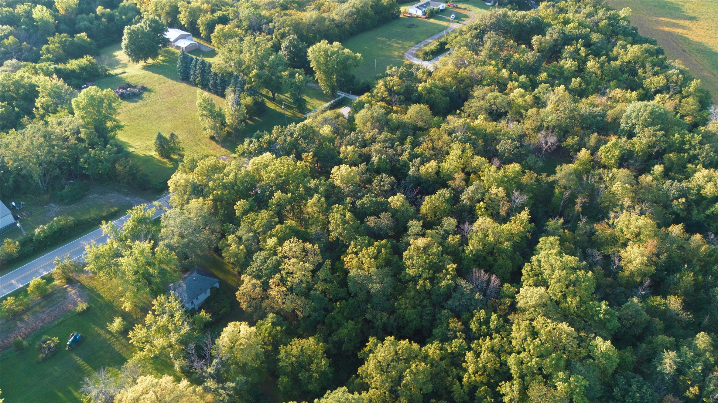 Aerial view of wooded acreage with a home, open lawn, outbuildings, and a road.