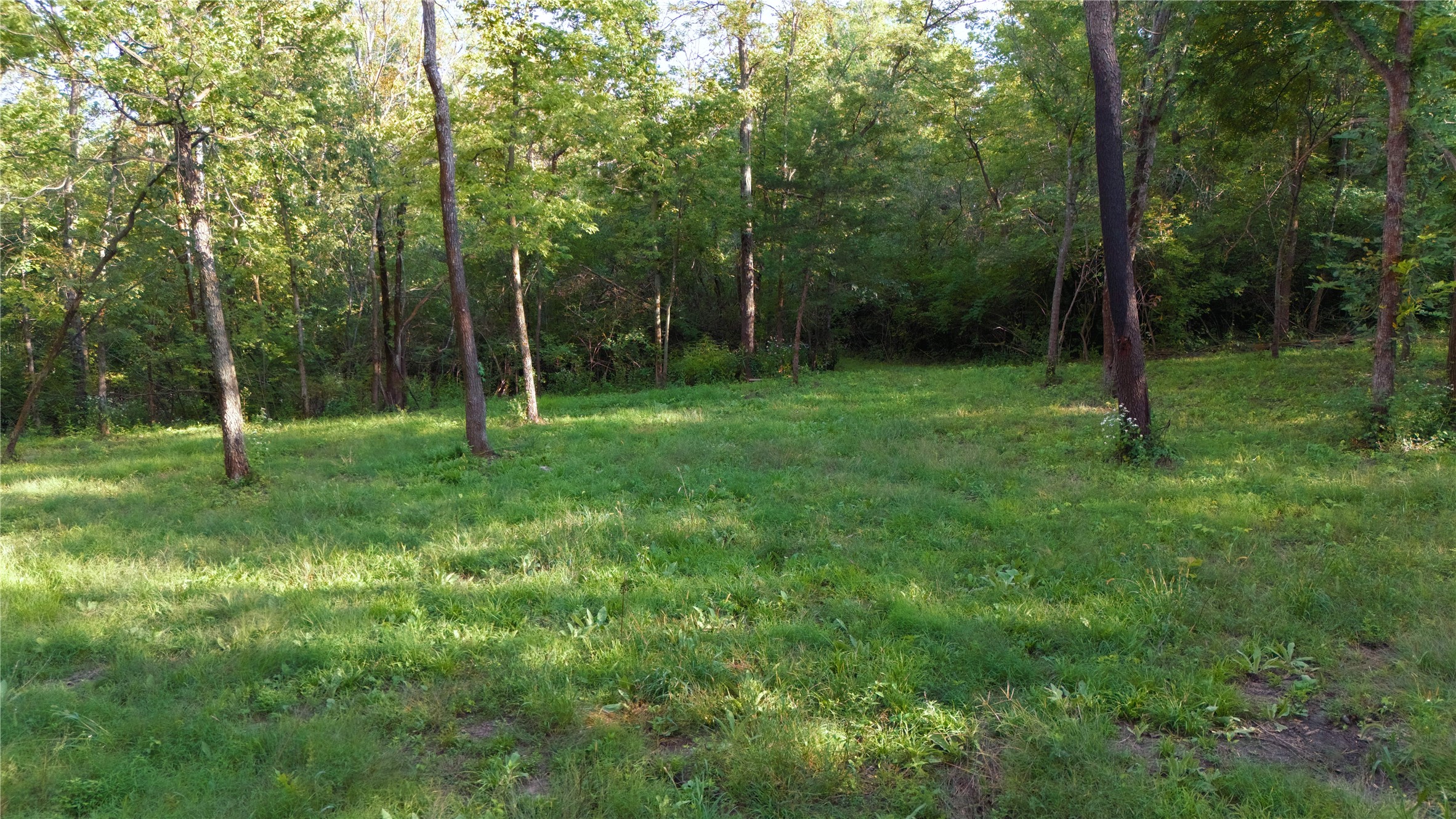 Wooded property with a sunlit grassy clearing among mature trees.