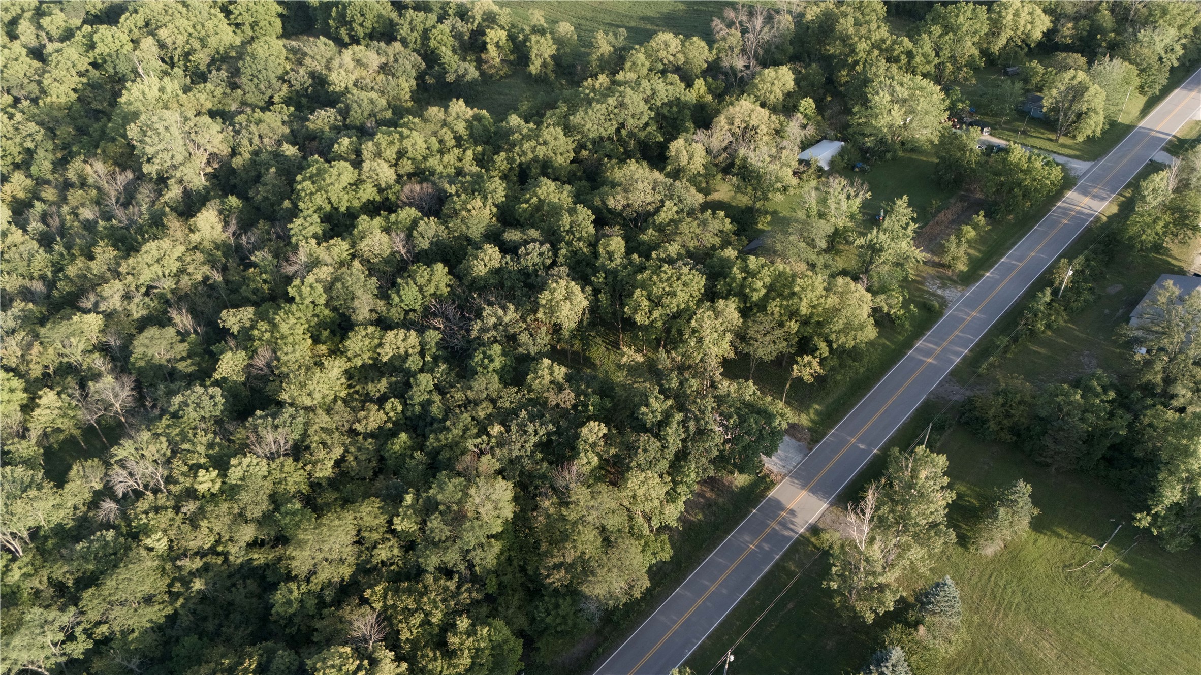 Aerial view of dense woods bordering a two-lane road, with a grassy clearing nearby.