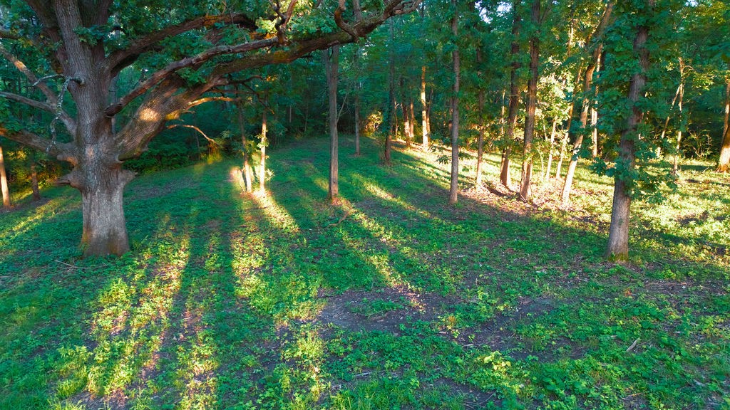 12245 NE 68th Street