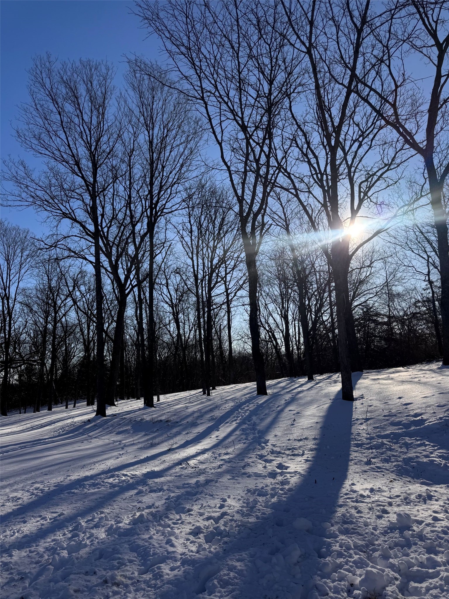 12245 NE 68th Street