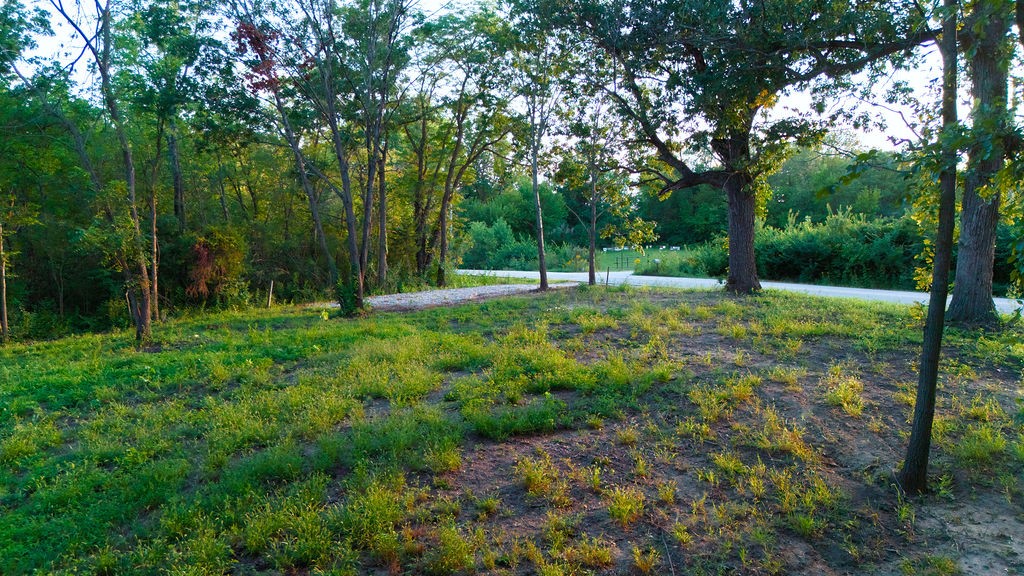 Wooded vacant lot with a grassy clearing beside a paved road.