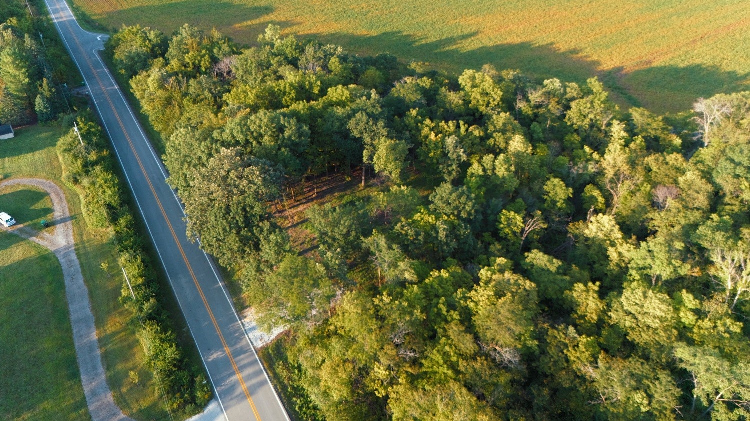 Aerial view of wooded property beside a rural road and open fields.