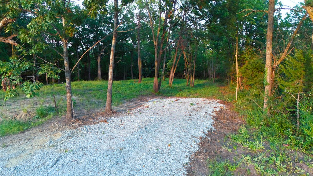 Gravel driveway curves through a wooded property beneath mature trees.