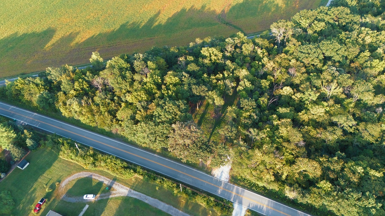Aerial view of a wooded property beside a two-lane road, with fields beyond.