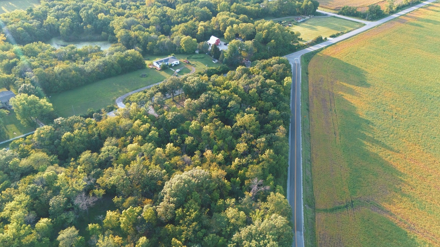 Aerial view of acreage with a home, dense woods, open fields, and roadside access.