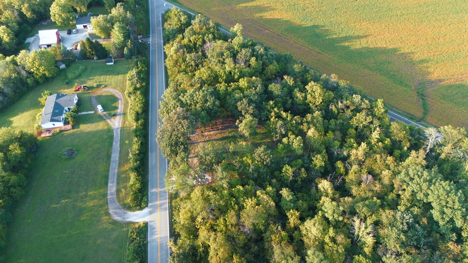 Aerial view of a house and curved driveway beside a road, bordered by mature trees and fields.