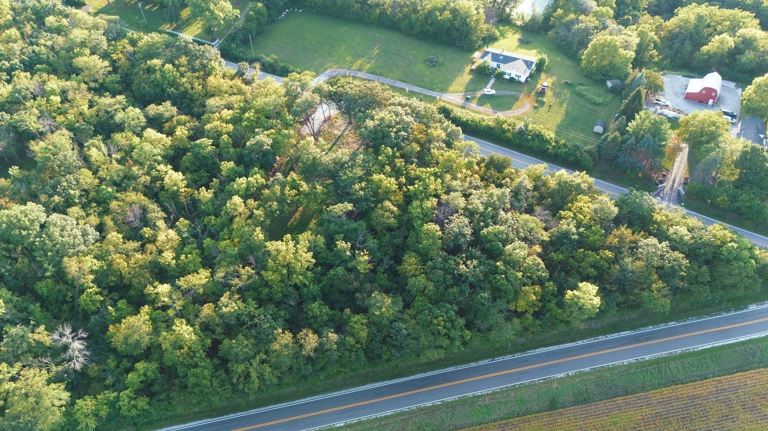 Aerial view of a densely wooded property beside a road, with nearby homes and open lawns.