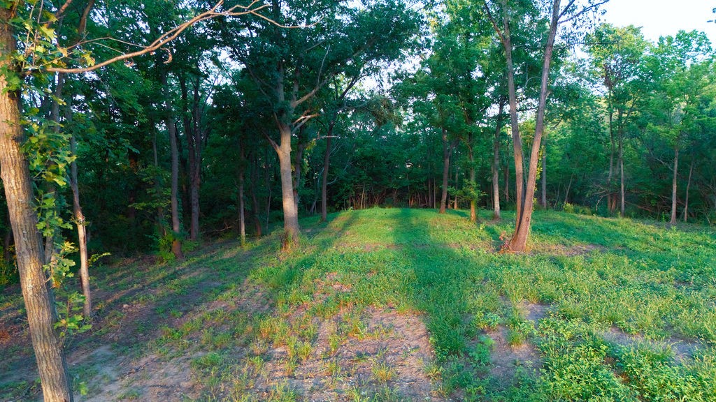 Grassy clearing on a wooded lot, surrounded by mature trees.