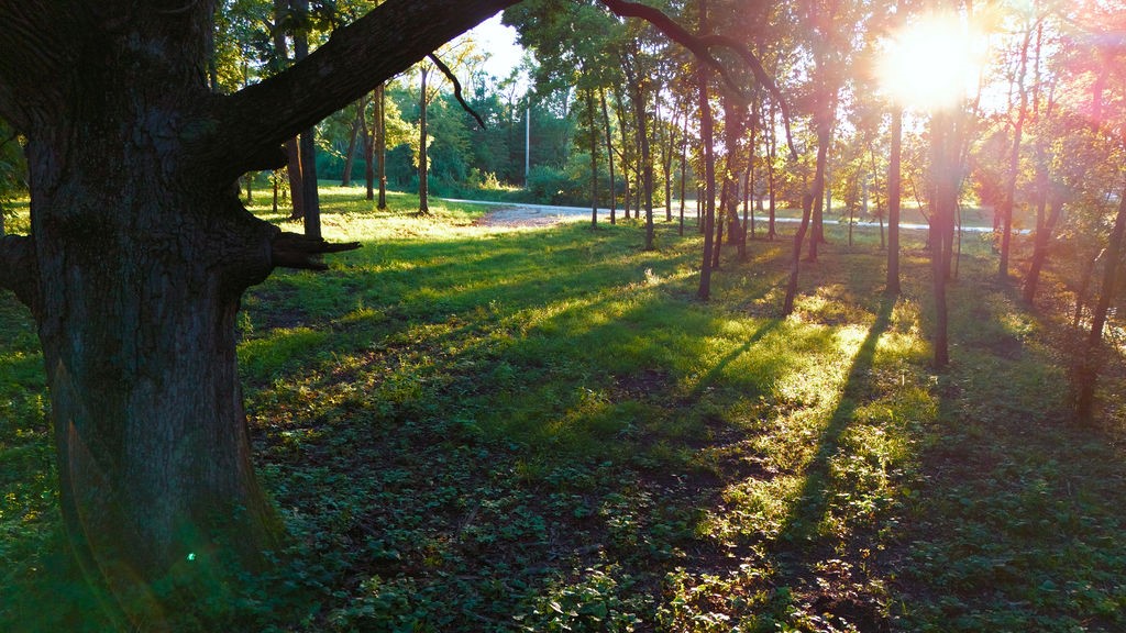 12215 NE 68th Street