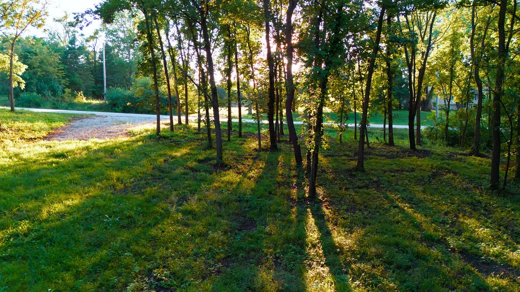 12215 NE 68th Street